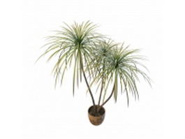 Potted bamboo palm 3d model preview