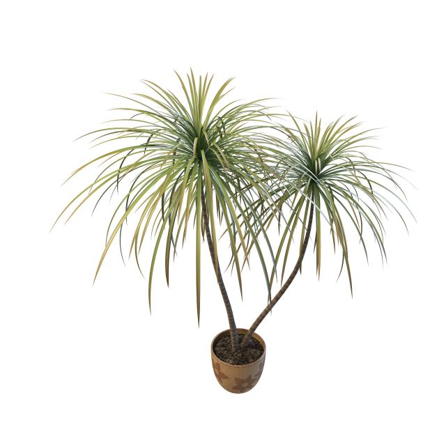 Potted bamboo palm 3d rendering
