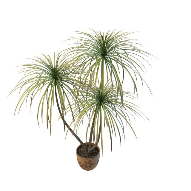 Potted bamboo palm 3d rendering