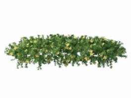 Flowering fern plant 3d model preview