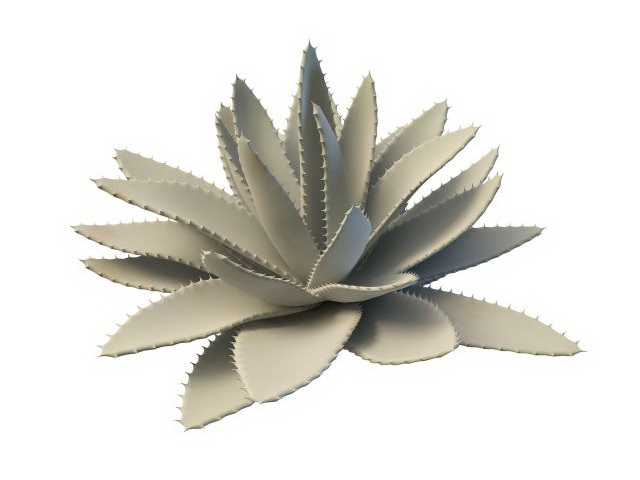 Aloe vera succulent plant 3d rendering