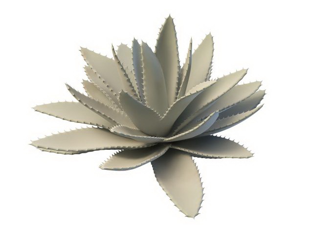Aloe vera succulent plant 3d rendering