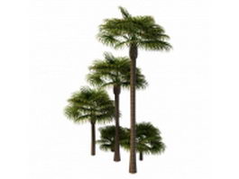 Windmill palm trees 3d model preview
