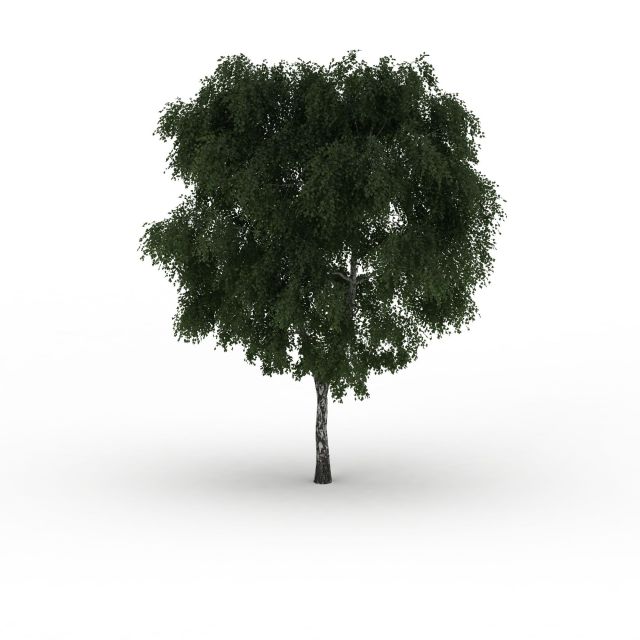 Thick tree 3d rendering