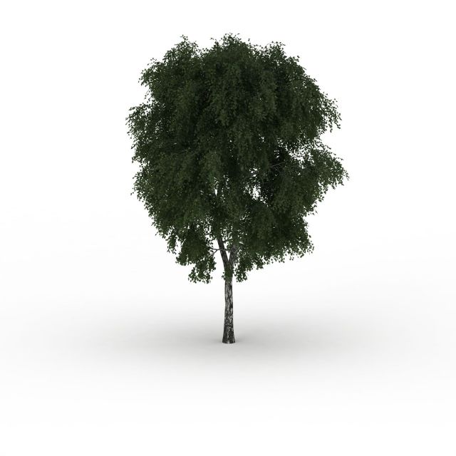 Thick tree 3d rendering