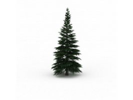 Russian fir tree 3d model preview