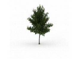 Common ash tree 3d model preview
