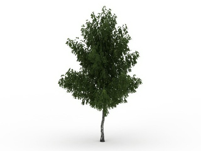 Common ash tree 3d rendering