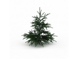 Fir Christmas tree 3d preview