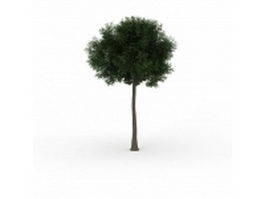 Landscape pine tree 3d model preview