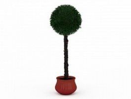 Potted topiary tree 3d model preview