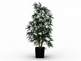 Potted bamboo plants 3d model preview