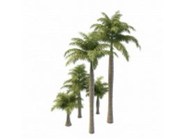 Royal palm trees 3d model preview