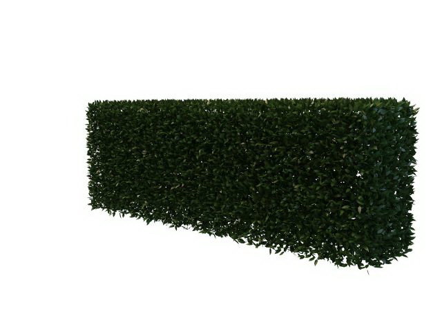 Trimmed hedge shrub 3d rendering