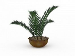House ferns plants 3d model preview