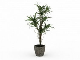 Potted ornamental trees 3d model preview