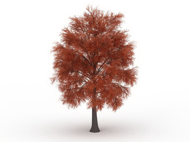 Red coniferous tree 3d rendering