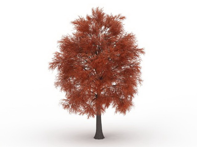 Red coniferous tree 3d rendering