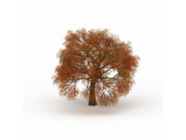 Fall leaves autumn tree 3d model preview