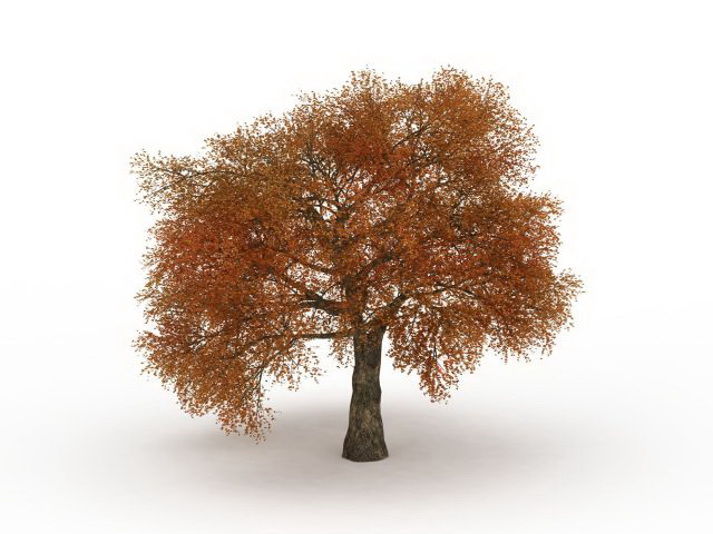 Fall leaves autumn tree 3d rendering