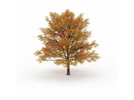 Fall color tree 3d model preview