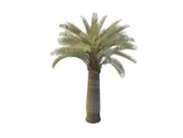 Date palm tree 3d model preview