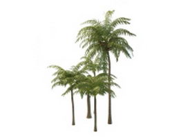 Coconut palm trees 3d model preview