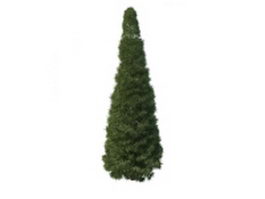 Italian Cypress tree 3d model preview