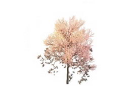 Spring pink tree 3d model preview