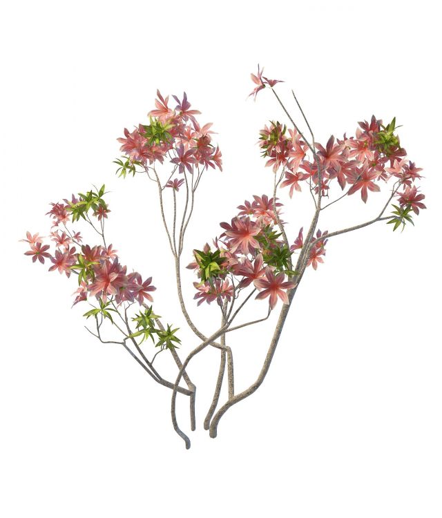 Flower branches 3d rendering