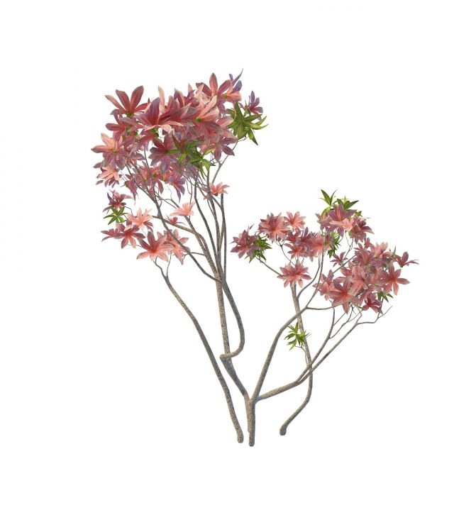 Flower branches 3d rendering