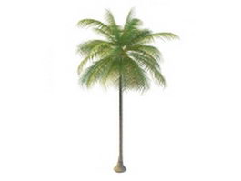 Florida palm tree 3d model preview