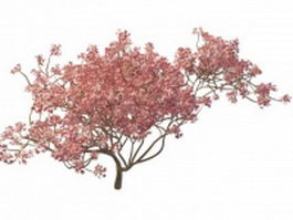 Blooming peach tree 3d model preview