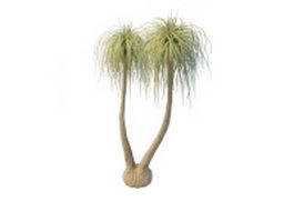 Cabbage tree 3d model preview