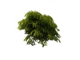 Green leaves tree 3d model preview