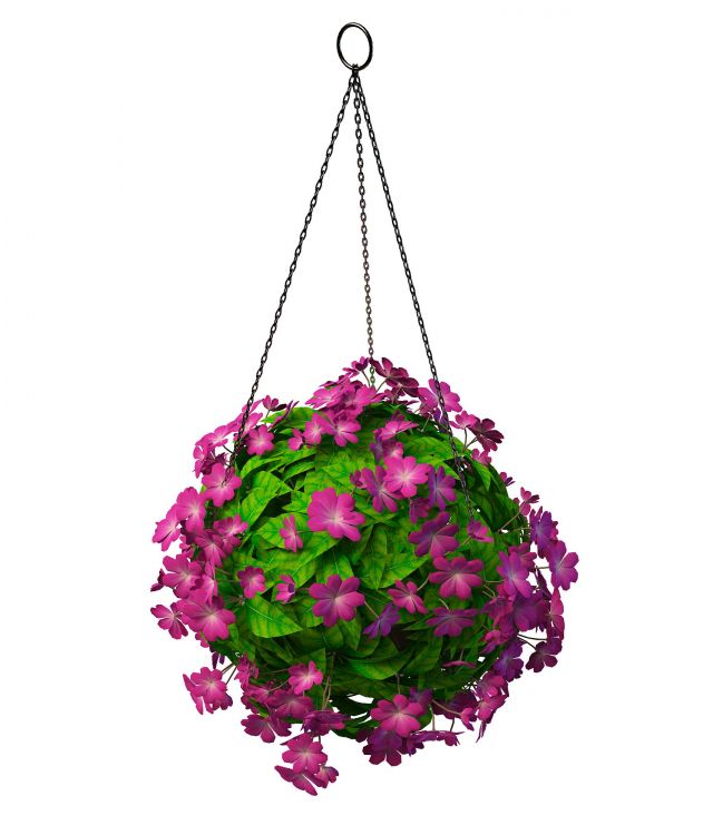 Hanging flowering plants 3d rendering