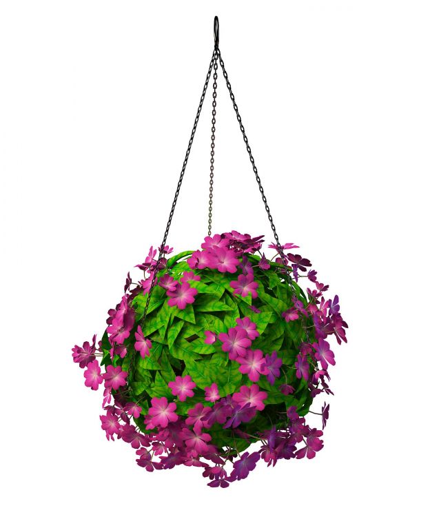 Hanging flowering plants 3d rendering