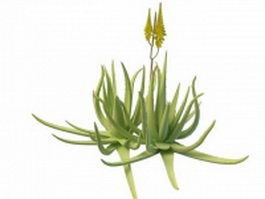 Aloe plant with flowers 3d model preview