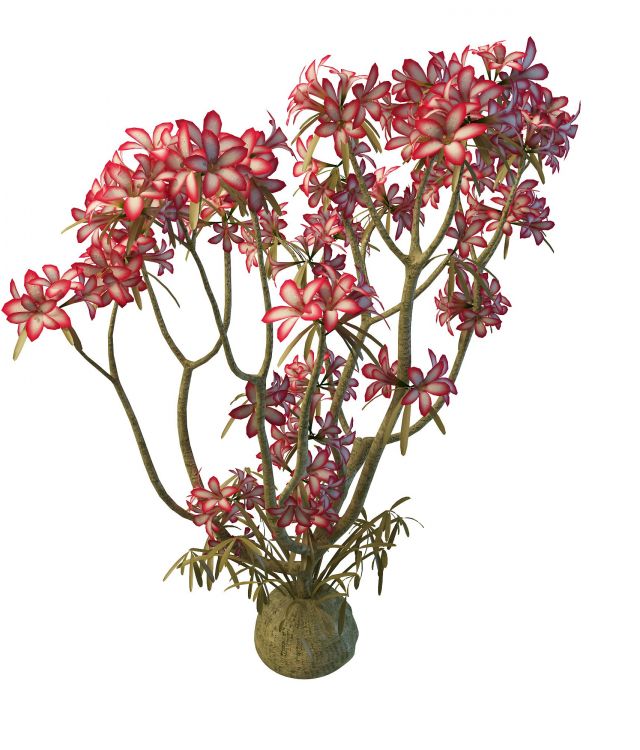 Pink flowering tree with flowers 3d rendering