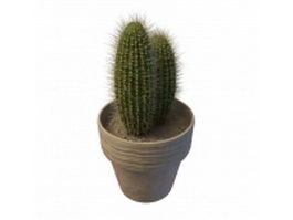 Potted saguaro cactus 3d preview