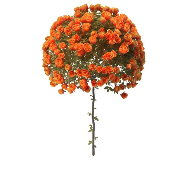 Orange rose ball 3d rendering