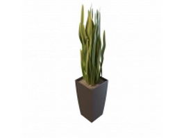 Variegated yucca plant 3d model preview