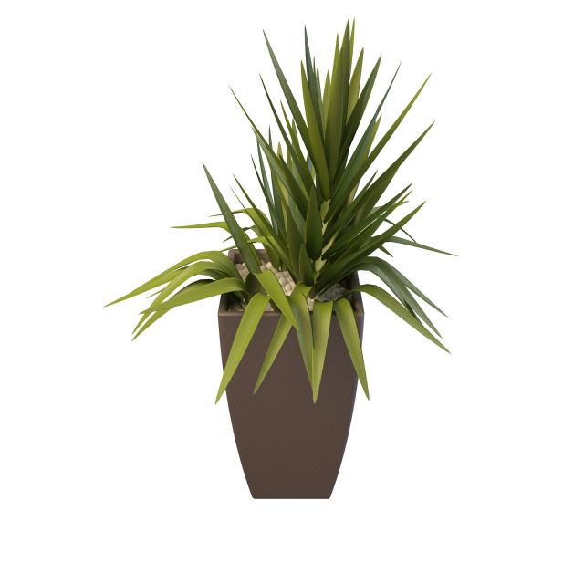 Potted gladiolus plant 3d rendering