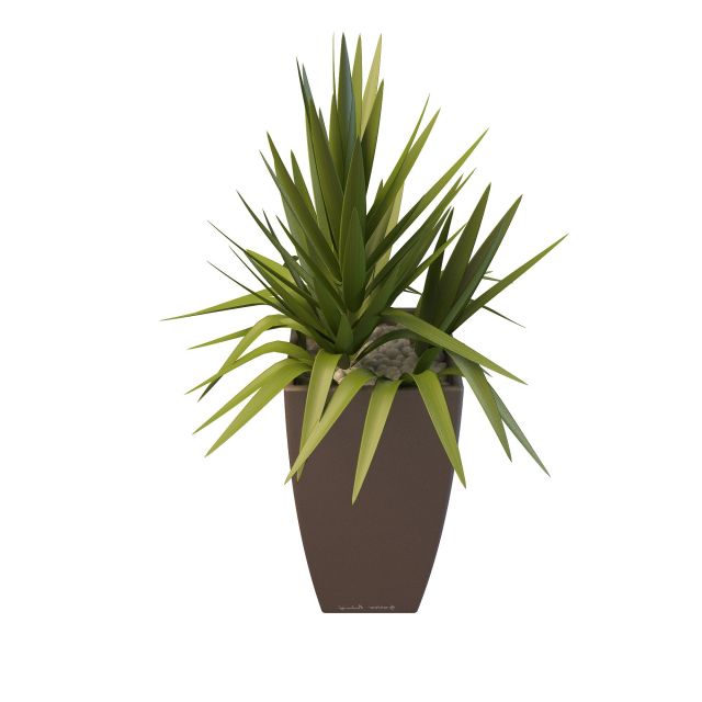 Potted gladiolus plant 3d rendering