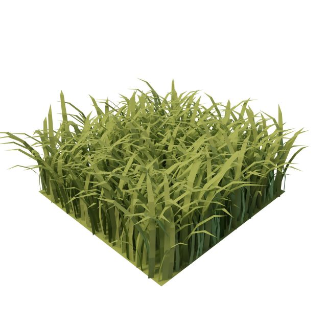 Piece of grass 3d rendering