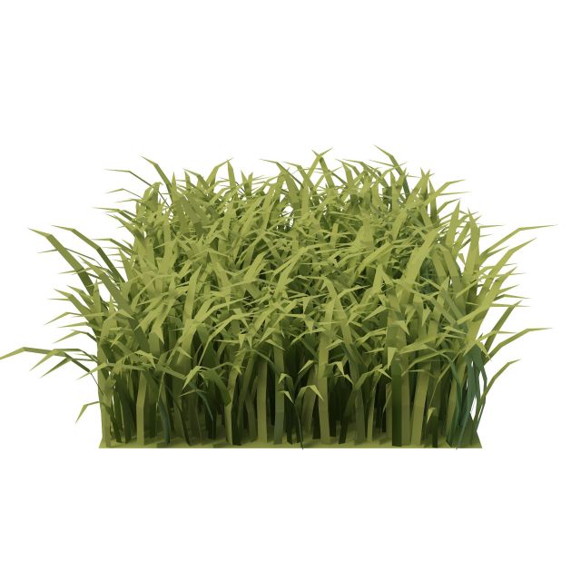 Piece of grass 3d rendering