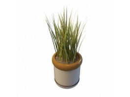 Grass in pot 3d model preview
