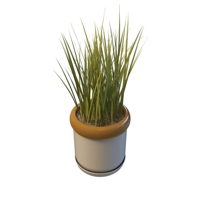 Grass in pot 3d rendering
