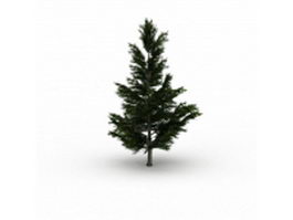 Spruce tree 3d model preview