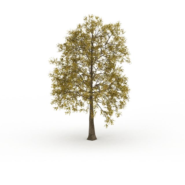 European ash tree 3d rendering